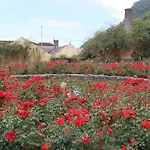 Pestana Quinta Do Arco Nature & Rose Garden Πάρκο διακοπών