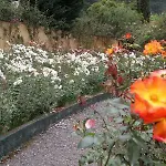 Pestana Quinta Do Arco Nature & Rose Garden