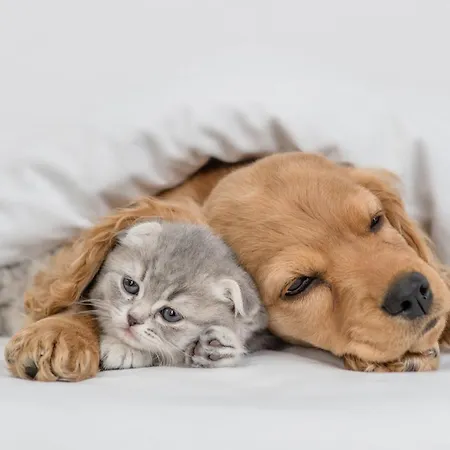 Parque de vacaciones Pestana Quinta Do Arco Nature&rose Garden 4*