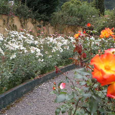פארק נופש Pestana Quinta Do Arco Nature & Rose Garden