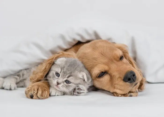 Üdülőpark Pestana Quinta Do Arco Nature & Rose Garden 4*