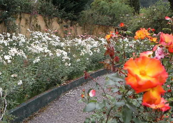 Pestana Quinta Do Arco Nature & Rose Garden