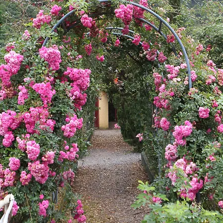 Pestana Quinta Do Arco Nature & Rose Garden 4* Arco de São Jorge