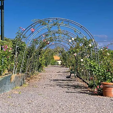 Πάρκο διακοπών Pestana Quinta Do Arco Nature & Rose Garden