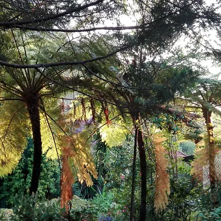 Vakantiepark Pestana Quinta Do Arco Nature & Rose Garden
