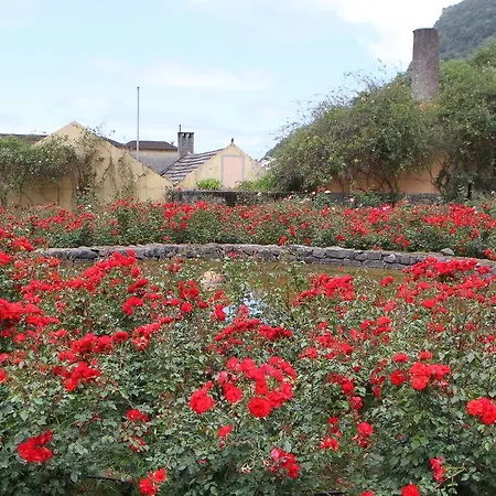 Pestana Quinta Do Arco Nature & Rose Garden פארק נופש