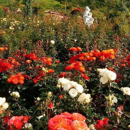 פארק נופש Pestana Quinta Do Arco Nature & Rose Garden