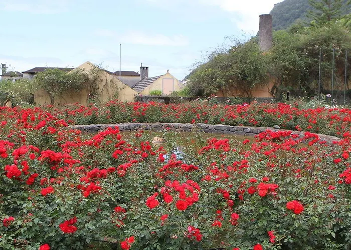 Pestana Quinta Do Arco Nature & Rose Garden Parco vacanze