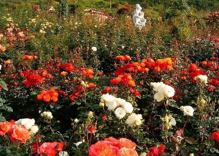 假日公园 Pestana Quinta Do Arco Nature & Rose Garden